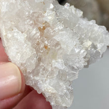 将图像加载到图库查看器中,Arkansas Quartz Small Cluster #35