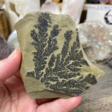 Cargar imagen en el visor de la galería, Limestone Dendritic Rough Slabs