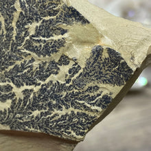 Cargar imagen en el visor de la galería, Limestone Dendritic Rough Slabs