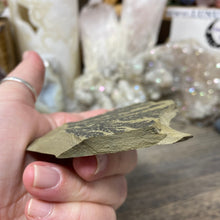 Cargar imagen en el visor de la galería, Limestone Dendritic Rough Slabs