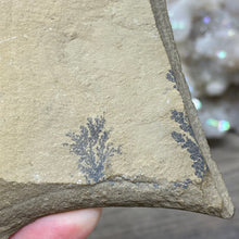 Cargar imagen en el visor de la galería, Limestone Dendritic Rough Slabs