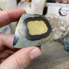 将图像加载到图库查看器中,Schalenblende Semi Polished Slice #05