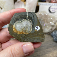 将图像加载到图库查看器中,Schalenblende Semi Polished Slice #05