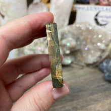 将图像加载到图库查看器中,Schalenblende Semi Polished Slice #05