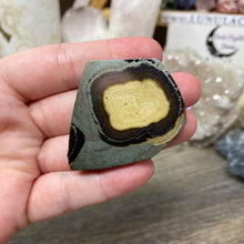 将图像加载到图库查看器中,Schalenblende Semi Polished Slice #05