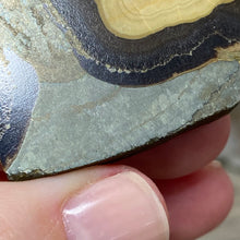 将图像加载到图库查看器中,Schalenblende Semi Polished Slice #05