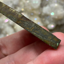 将图像加载到图库查看器中,Schalenblende Semi Polished Slice #05