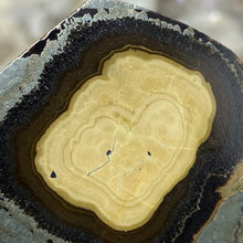 将图像加载到图库查看器中,Schalenblende Semi Polished Slice #05