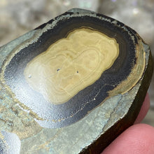 将图像加载到图库查看器中,Schalenblende Semi Polished Slice #05