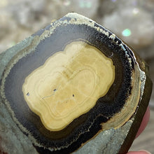 将图像加载到图库查看器中,Schalenblende Semi Polished Slice #05