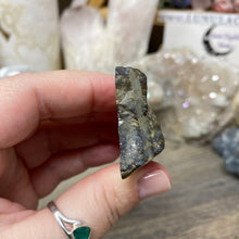 将图像加载到图库查看器中,Schalenblende Semi Polished Slice #06