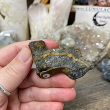 将图像加载到图库查看器中,Schalenblende Semi Polished Slice #06