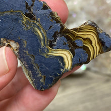 将图像加载到图库查看器中,Schalenblende Semi Polished Slice #06