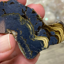 将图像加载到图库查看器中,Schalenblende Semi Polished Slice #06