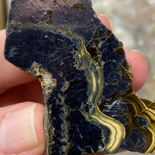 将图像加载到图库查看器中,Schalenblende Semi Polished Slice #06