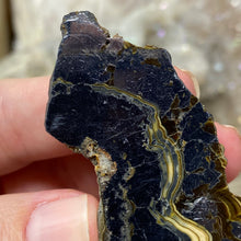 将图像加载到图库查看器中,Schalenblende Semi Polished Slice #06