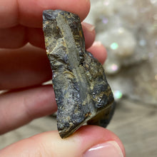 将图像加载到图库查看器中,Schalenblende Semi Polished Slice #06