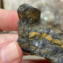 将图像加载到图库查看器中,Schalenblende Semi Polished Slice #06