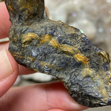 将图像加载到图库查看器中,Schalenblende Semi Polished Slice #06