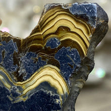 将图像加载到图库查看器中,Schalenblende Semi Polished Slice #06