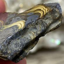 将图像加载到图库查看器中,Schalenblende Semi Polished Slice #06