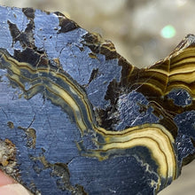 将图像加载到图库查看器中,Schalenblende Semi Polished Slice #06