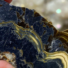 将图像加载到图库查看器中,Schalenblende Semi Polished Slice #06