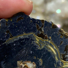 将图像加载到图库查看器中,Schalenblende Semi Polished Slice #06