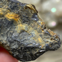 将图像加载到图库查看器中,Schalenblende Semi Polished Slice #06