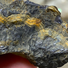 将图像加载到图库查看器中,Schalenblende Semi Polished Slice #06