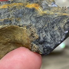 将图像加载到图库查看器中,Schalenblende Semi Polished Slice #06