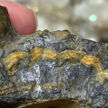 将图像加载到图库查看器中,Schalenblende Semi Polished Slice #06