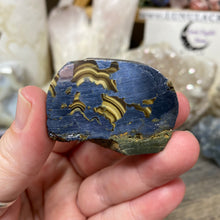 将图像加载到图库查看器中,Schalenblende Semi Polished Slice #07