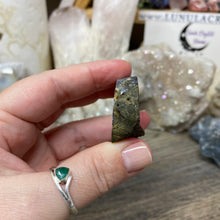 将图像加载到图库查看器中,Schalenblende Semi Polished Slice #07