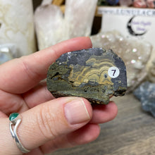 将图像加载到图库查看器中,Schalenblende Semi Polished Slice #07