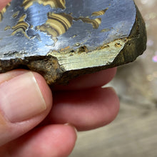 将图像加载到图库查看器中,Schalenblende Semi Polished Slice #07