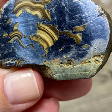 将图像加载到图库查看器中,Schalenblende Semi Polished Slice #07