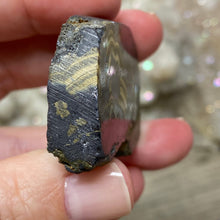 将图像加载到图库查看器中,Schalenblende Semi Polished Slice #07