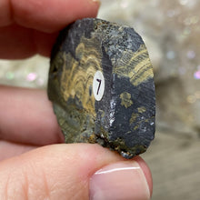 将图像加载到图库查看器中,Schalenblende Semi Polished Slice #07