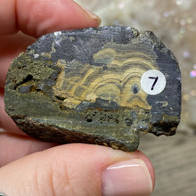 将图像加载到图库查看器中,Schalenblende Semi Polished Slice #07
