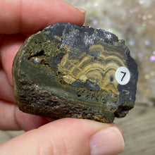 将图像加载到图库查看器中,Schalenblende Semi Polished Slice #07