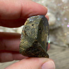 将图像加载到图库查看器中,Schalenblende Semi Polished Slice #07