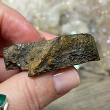 将图像加载到图库查看器中,Schalenblende Semi Polished Slice #07
