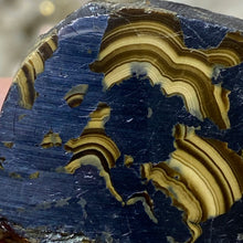将图像加载到图库查看器中,Schalenblende Semi Polished Slice #07