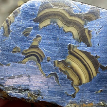 将图像加载到图库查看器中,Schalenblende Semi Polished Slice #07