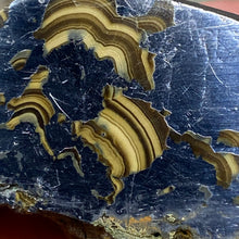 将图像加载到图库查看器中,Schalenblende Semi Polished Slice #07