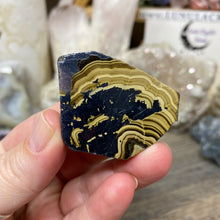 将图像加载到图库查看器中,Schalenblende Semi Polished Slice #08