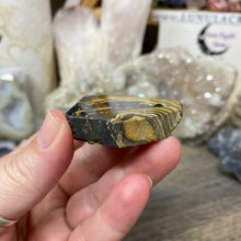 将图像加载到图库查看器中,Schalenblende Semi Polished Slice #08