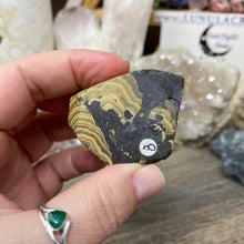 将图像加载到图库查看器中,Schalenblende Semi Polished Slice #08