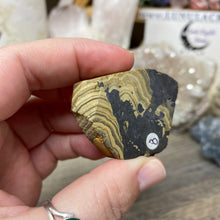 将图像加载到图库查看器中,Schalenblende Semi Polished Slice #08